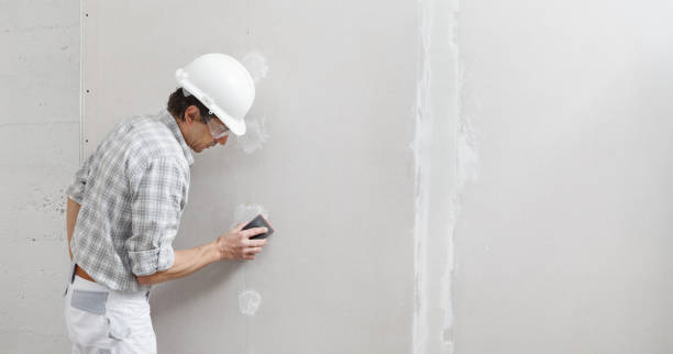 Best Water-Damaged Drywall Repair  in Stevensville, MI