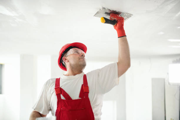 Best Touch-Up Painting  in Stevensville, MI